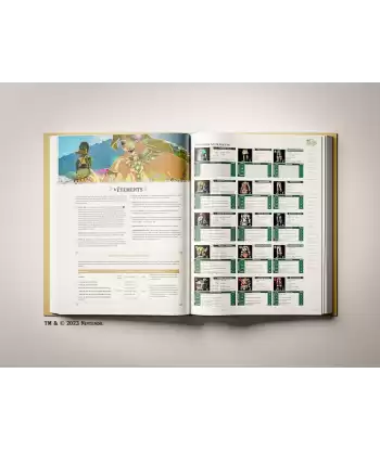 Guide Zelda Tears of the Kingdom  version francaise